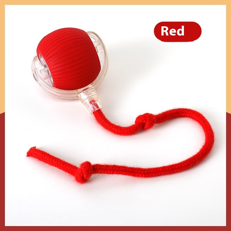 Interactive Cat Toy Ball By Petthentics