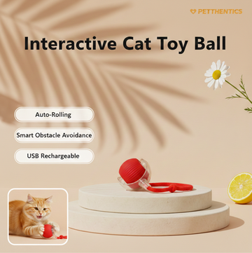 Interactive Cat Toy Ball By Petthentics